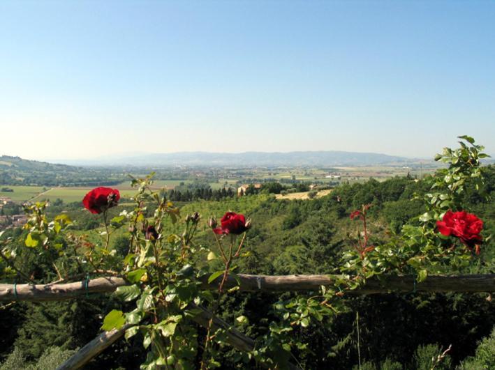Castel D'Arno ξενώνας Περούτζια Εξωτερικό φωτογραφία