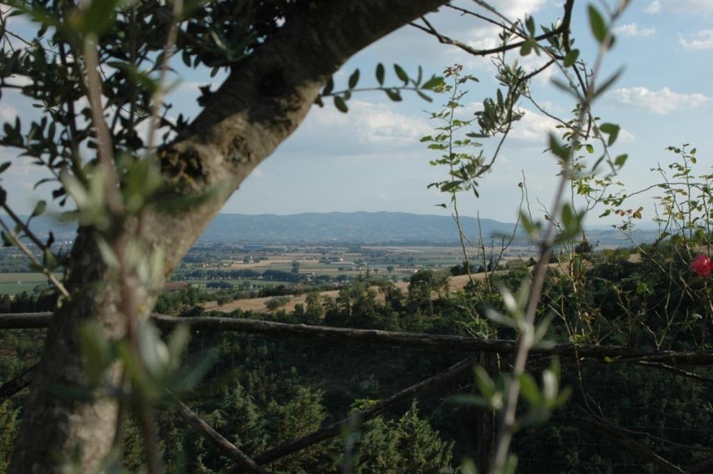 Castel D'Arno ξενώνας Περούτζια Εξωτερικό φωτογραφία